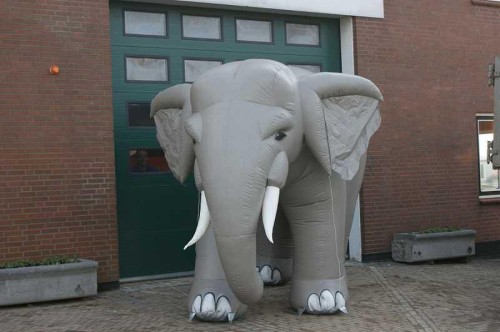Olifant 4m